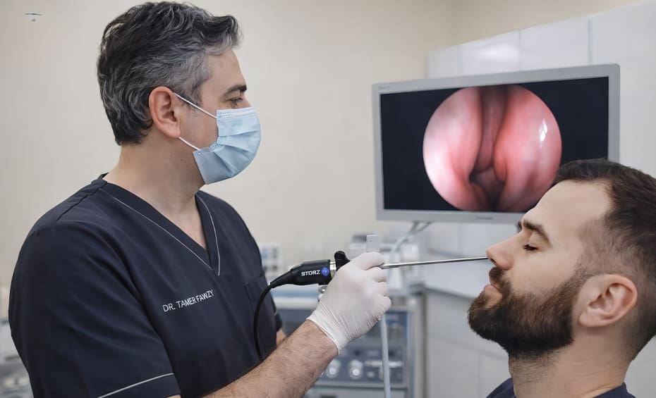 Dr Tamer Fawzy - International Experience